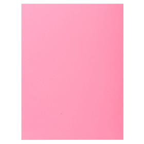 Pt 100 chem.1 rabat SUPER 160  rose