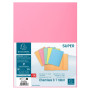 Pt 100 chem.1 rabat SUPER 160  rose