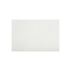 500Sets de table TISS LACK30x40Blanc Gl.
