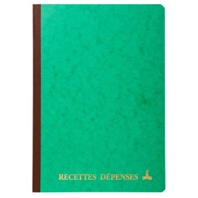PIQURE RECETTES DEPENSES 29,7X21
