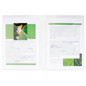 Chem.de présent.double poche PP CRISTAL