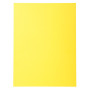 Pt 100 chemises FOREVER 220 jaune