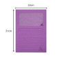 Pt 100 chem. à fenêtre FOREVER violet