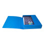 Bte Classement CL D60 EXABOX NF Ass.
