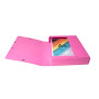 Bte Classement CL D60 EXABOX NF Ass.
