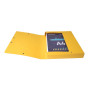 Bte Classement CL D40 EXABOX NF Ass.
