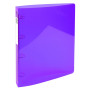 Class. 4anx IDERAMA PP A4+ 30mm violet