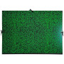 Carton Dessin 61x76+Cordons Annonay Vert