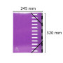 Trieur Harmonika 12CP Iderama violet