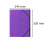 Trieur agrafé int. noir 12 comp. Violet