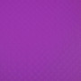 Classeur OPAK PP 2 anx 15mm A4 violet