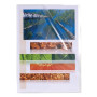 SACHET 10 POCH. Coin PP Lisse