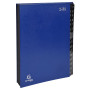 Trieur Ordonator 1-31 32 comp. Bleu