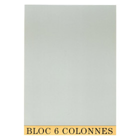 BLOC COMPTABLE 29,7/21 6 Col. 70Fls.