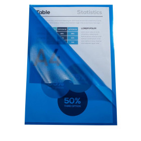 Sachet100 poch.Coin A4 PP grainé ECO ass