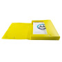 Boite de class PP Dos 40mm Forever Young