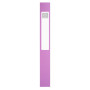 Boite de class PP Dos 40mm Forever Young