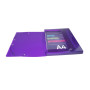 Bte classement IDERAMA PP D25mm violet