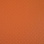 BTE CLAS. D25mm PP 7/10e Orange