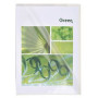 ETUI 10 POCH.COINS PVC 13.5/100 CRISTAL