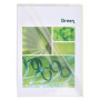 ETUI 100 POCH.COINS PVC 13.5/100 CRISTAL