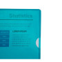 SACH. 10 POCHETTES COINS  PVC VERT