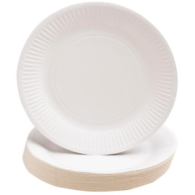 50 Assiettes, carton rond Ø 23 cm Blanc