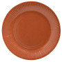 20Assiettes carton rond Ø23cm Terracotta