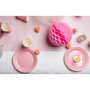 20 Assiettes, carton rond Ø 23 cm Rose