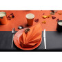 20Assiettes carton rond Ø23cm Terracotta