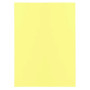 Pt 100 sous-chemises SUPER 60 canari