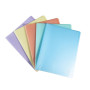 Porte-vues A4 60 vues Chrom. Pastel