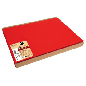 100 Sets de table SPUNB.30x40 Rouge