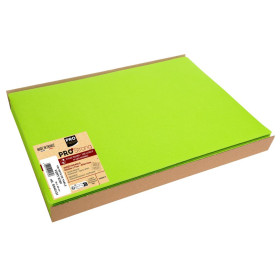 100 Sets de table SPUNB.30x40 Kiwi