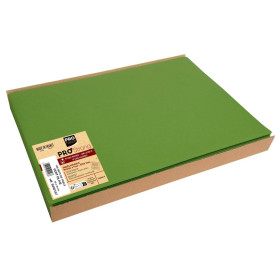 100 Sets de table SPUNB.30x40 Vert Olive