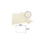 100 Sets de table SPUNB.30x40 Ivoire