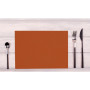 100 Sets de table SPUNB.30x40 Terracotta