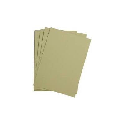 1F Etival Color 160g 50x65cm vert amande