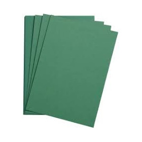 1F Etival Color 160g 50x65cm vert foncé