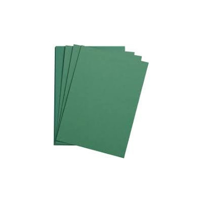 1F Etival Color 160g 50x65cm vert foncé