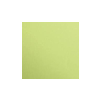 1F couleur Maya 50x70cm 270g vert mousse