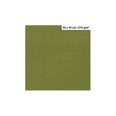 1F couleur Maya 50x70cm 270g kaki