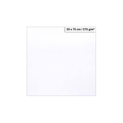 1F couleur Maya 50x70cm 270g blanc