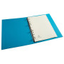 INTERCAL.CARTE PEAU A4 12 POS. JANV/DEC.