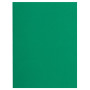 Pt 100 sous-chemises FLASH 80 vert