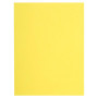 Pt 100 sous-chemises FLASH 80 canari
