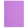 Pt 100 sous-chemises FLASH 80 lilas