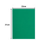 Pt 100 sous-chemises FLASH 80 vert