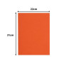 Pt 100 sous-chemises FLASH 80 orange
