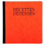 PIQ. 21/19 RECETTES-DEPENSES 80p.